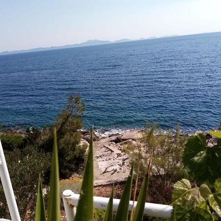 Apartman Laus Завалатица Экстерьер фото